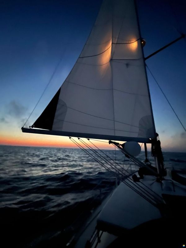 Bavaria 40