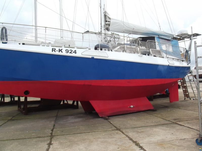 Reinke S 11