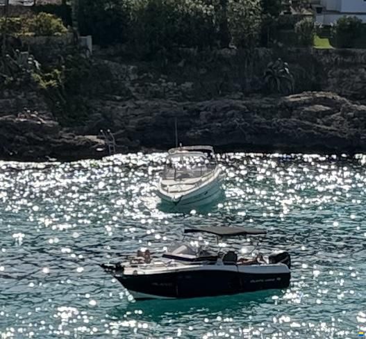 Atlantic Marine Sun Cruiser 720 DC