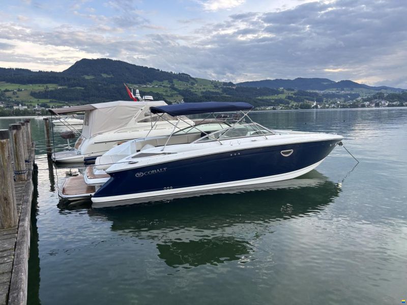 Cobalt 302