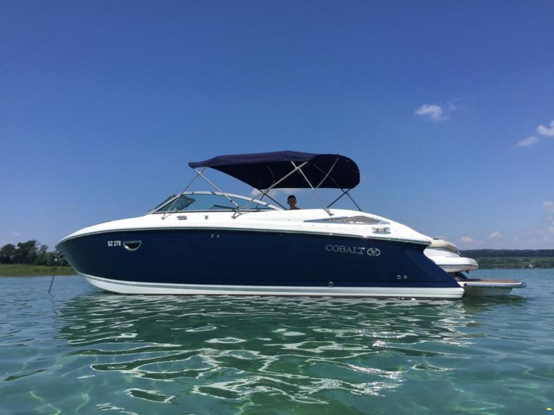 Cobalt 302