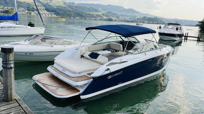 Cobalt 302