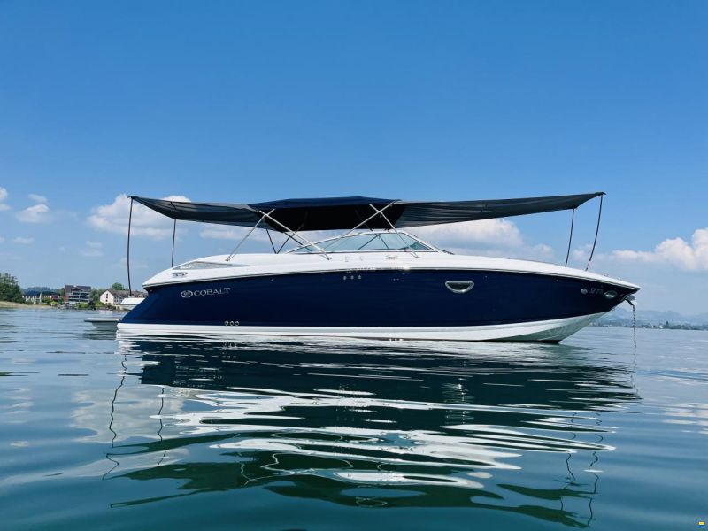 Cobalt 302