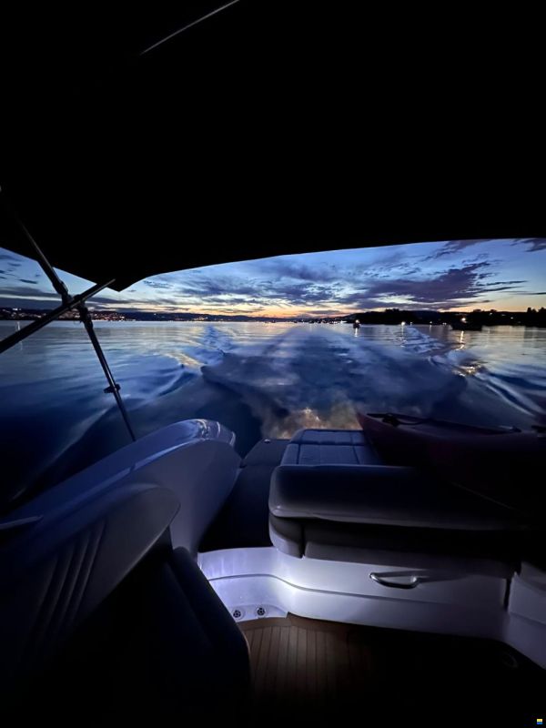 Cobalt 302