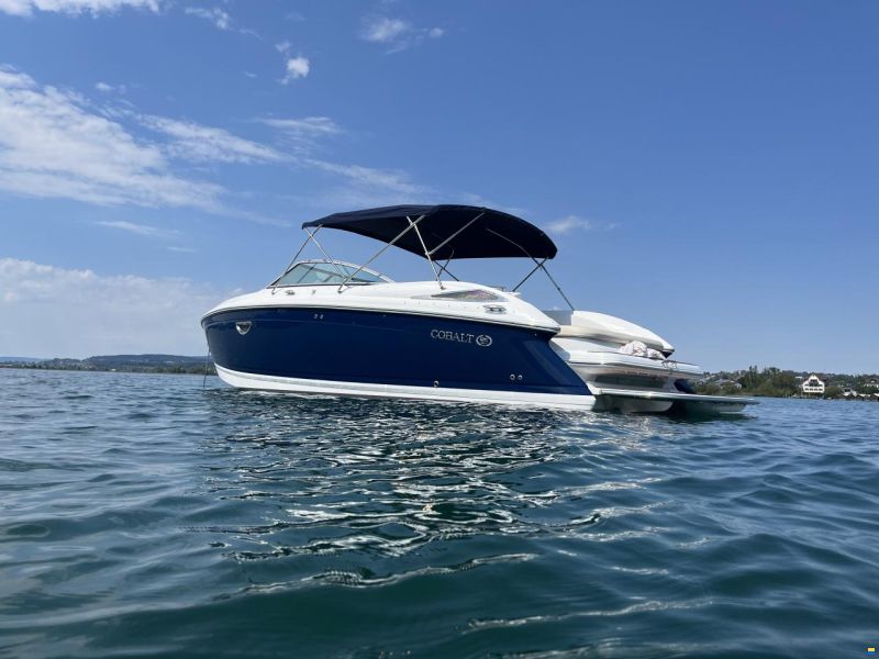 Cobalt 302