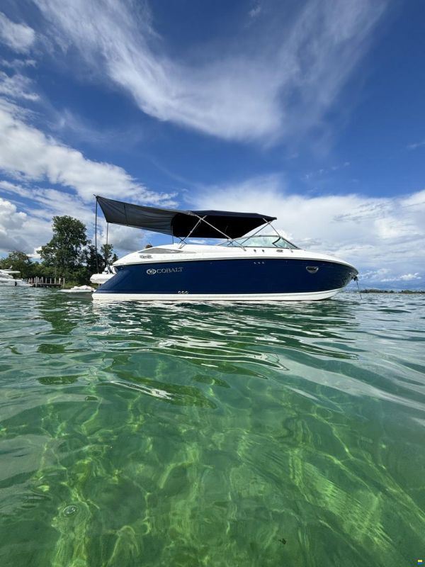 Cobalt 302