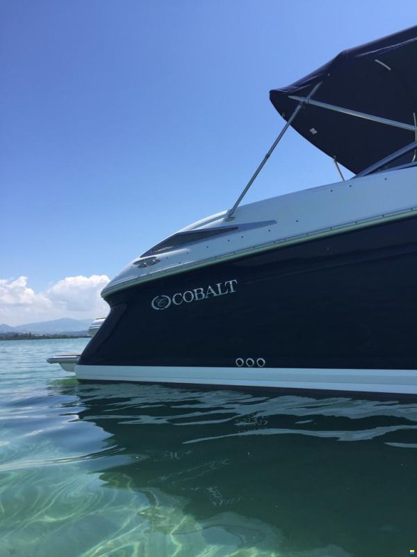 Cobalt 302