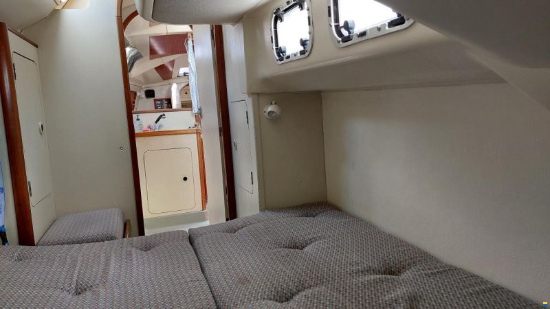 Dehler 38