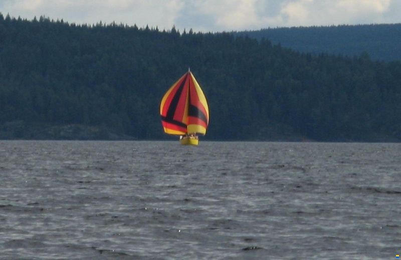 Wibo van Wijk Wibo 930