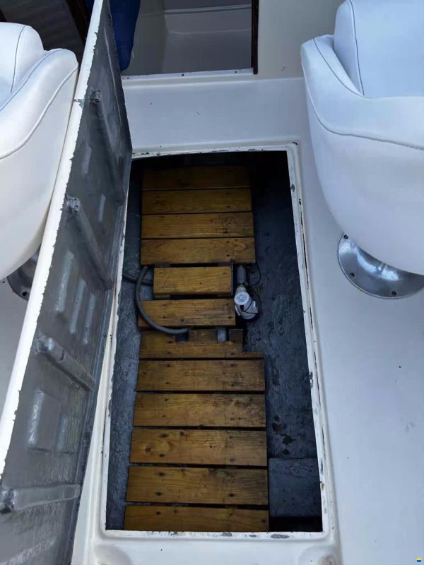 Sportboot SeaMaster 19 Sport mit Kabine