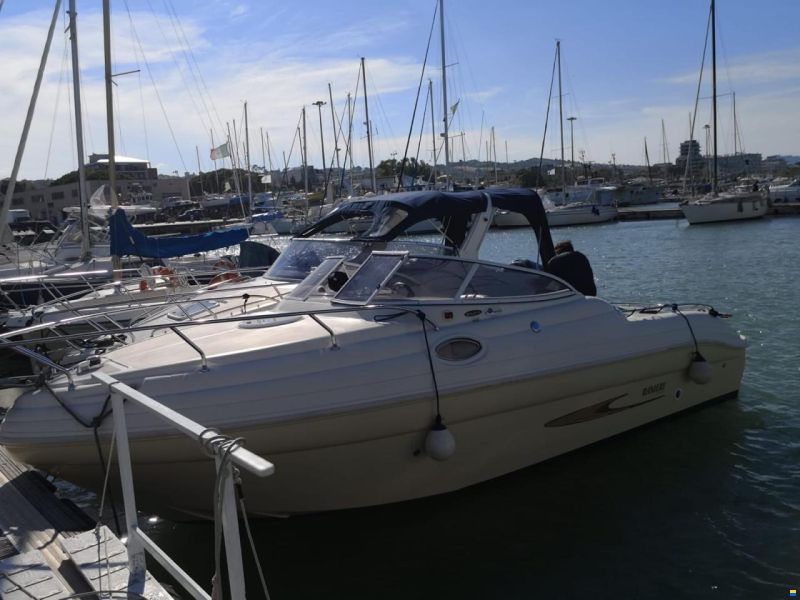Ranieri Sea Lady 24 limited edition