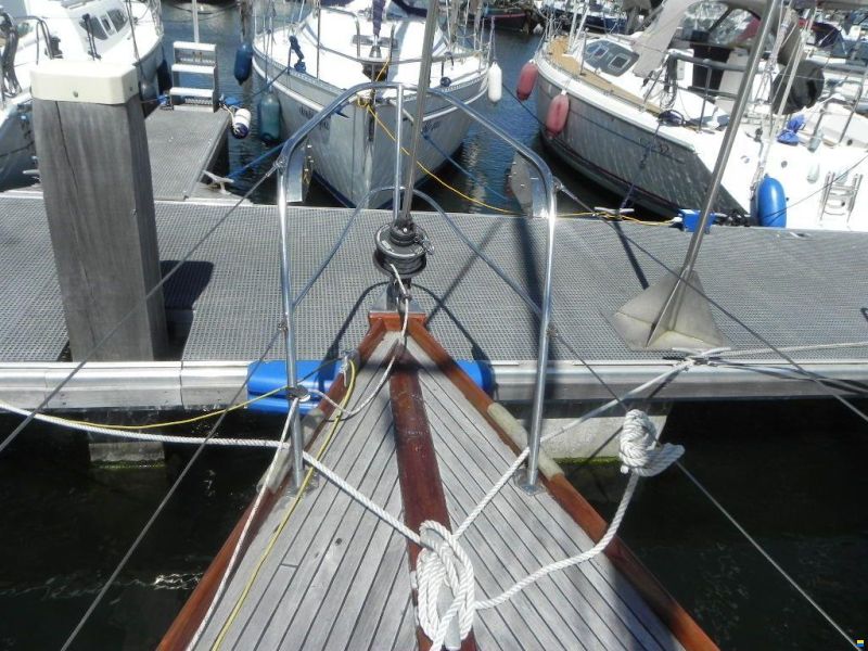 Splinter 30