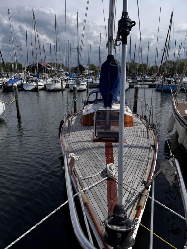 Splinter 30