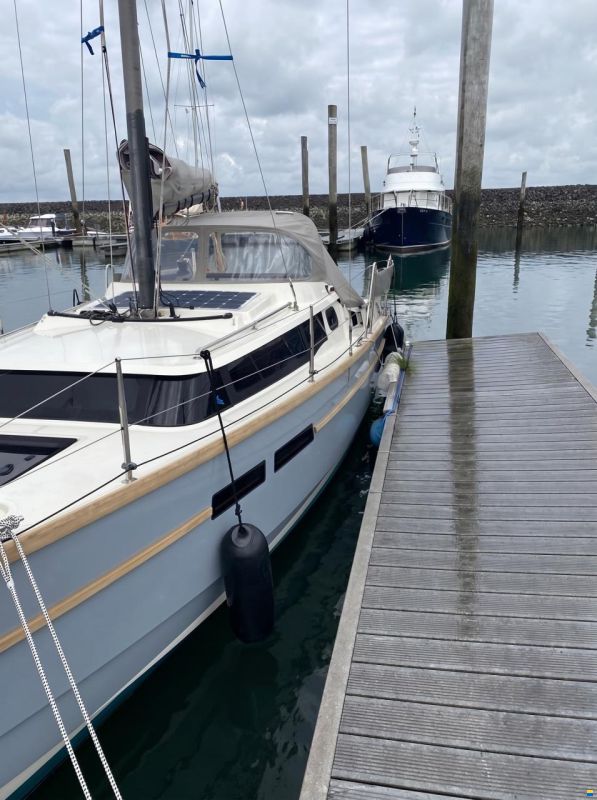 Swallow Yachts Coast 250