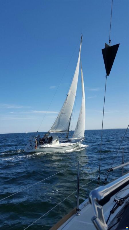Dehler 32 Comfort