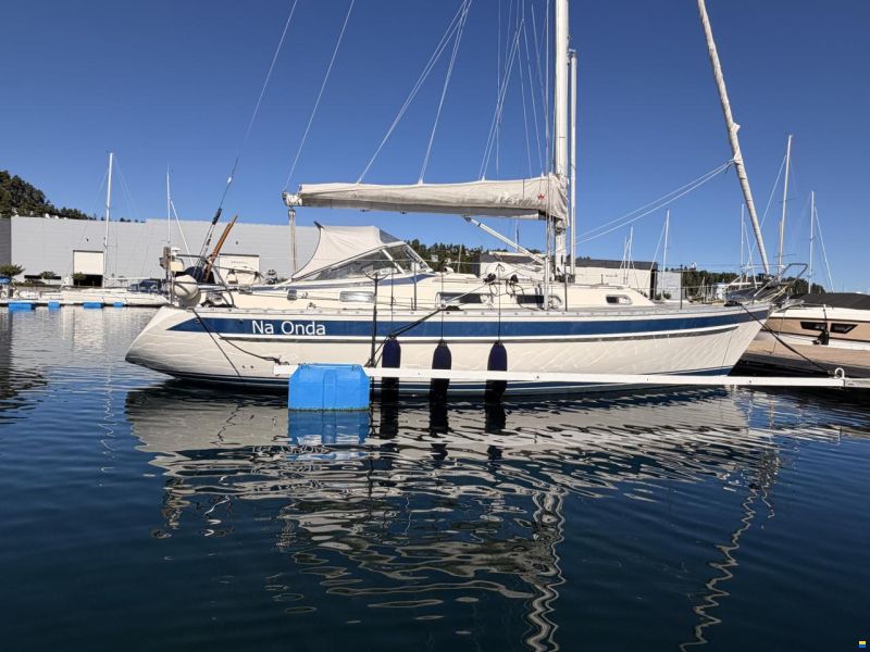 Hallberg-Rassy 31