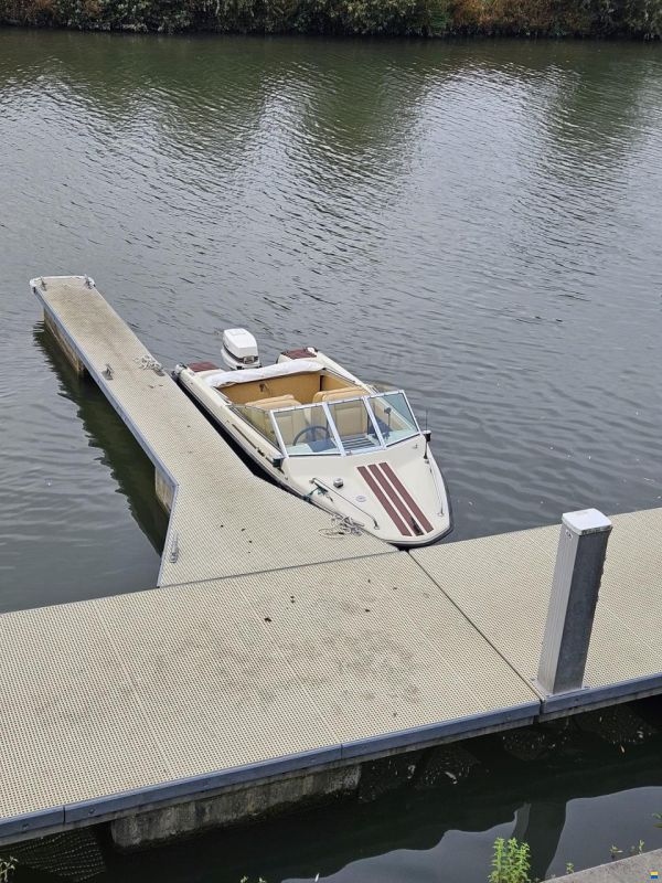 Hellwig Triton TS
