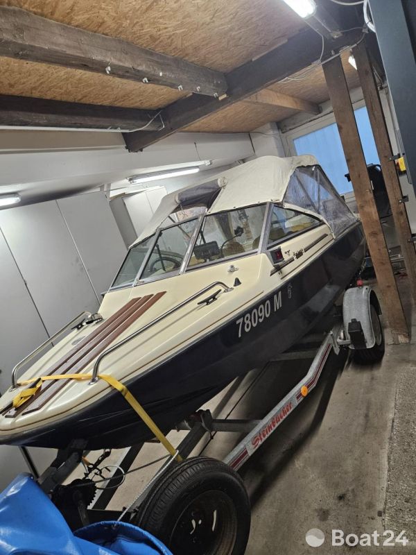 Hellwig Triton TS