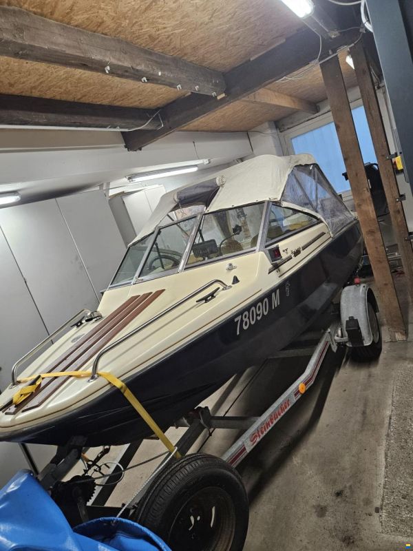 Hellwig Triton TS