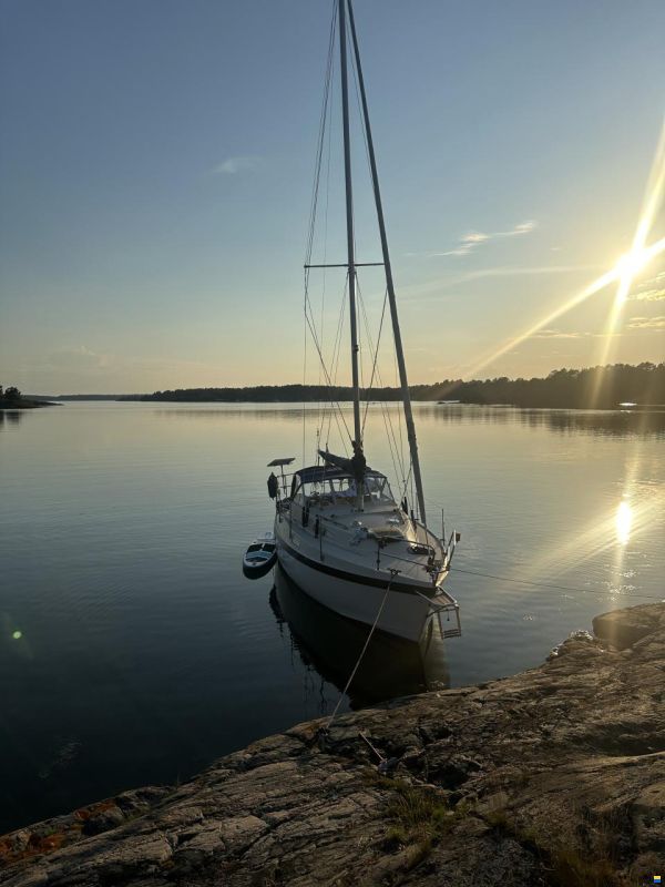 Albin 82 MS