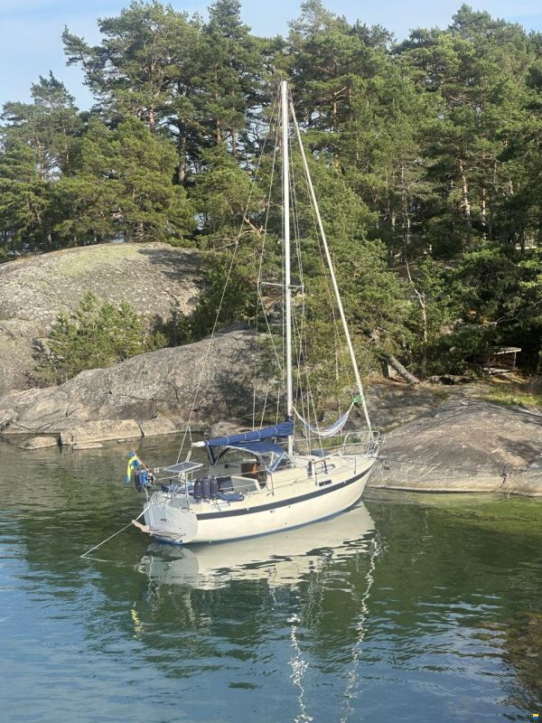 Albin 82 MS