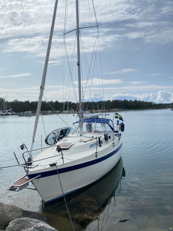 Albin 82 MS