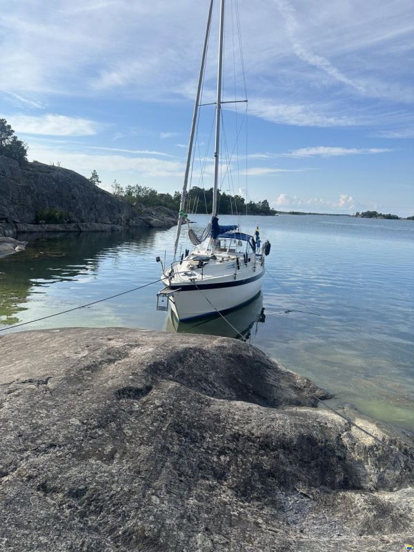 Albin 82 MS