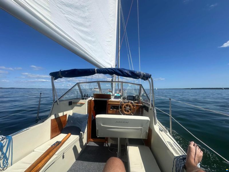 Albin 82 MS