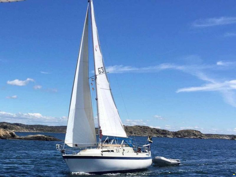 Albin 82 MS