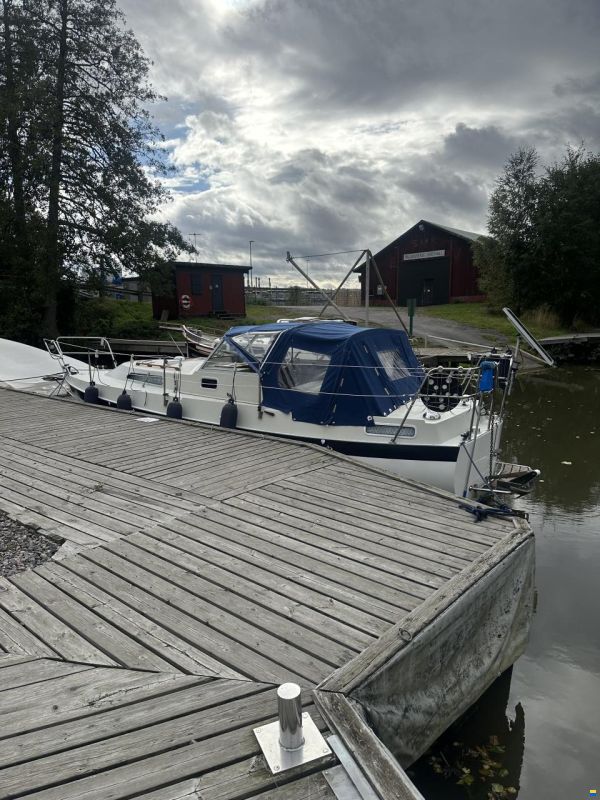 Albin 82 MS