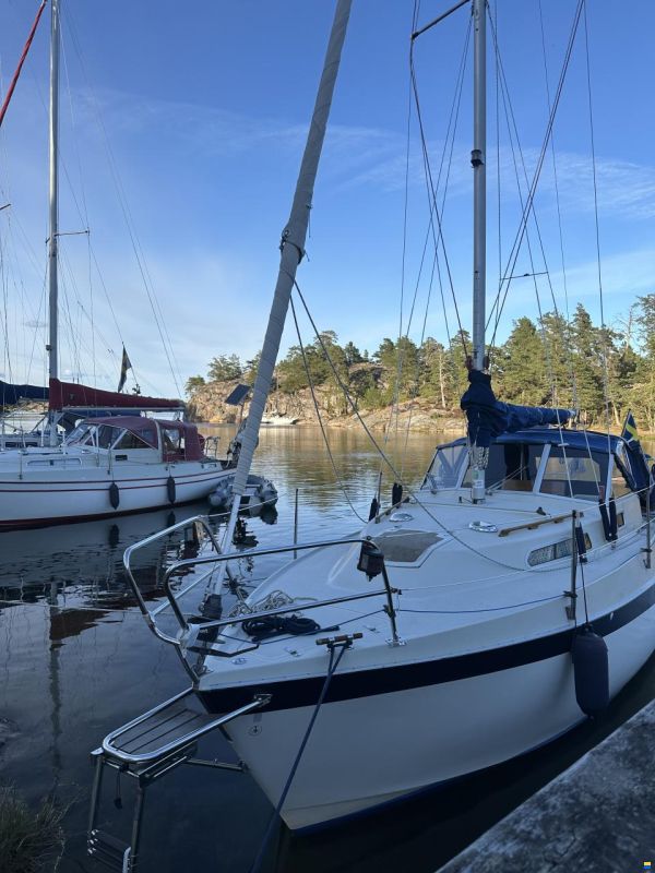 Albin 82 MS