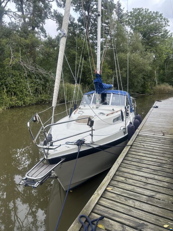 Albin 82 MS