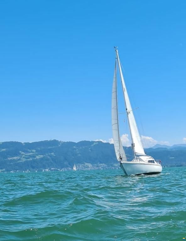 Dehler Optima 83
