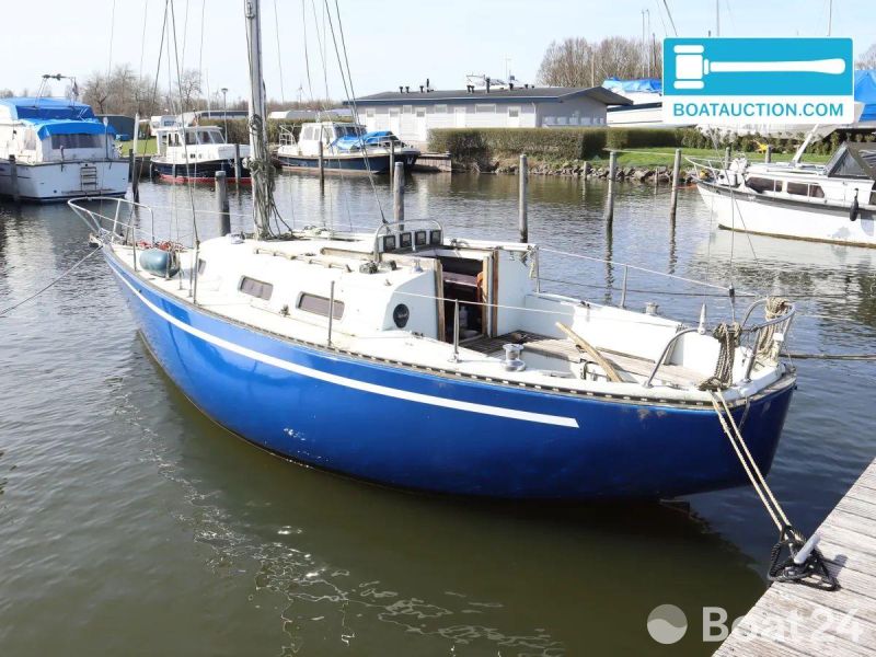 Martin 29