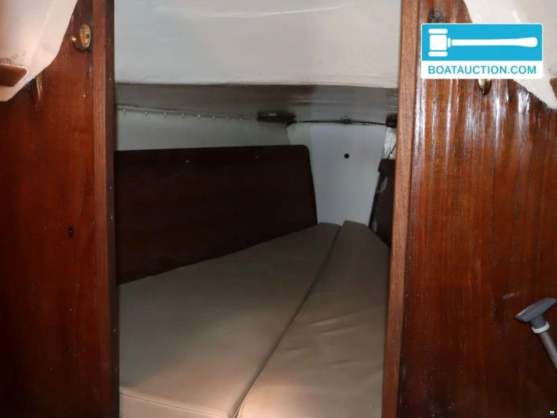 Martin 29
