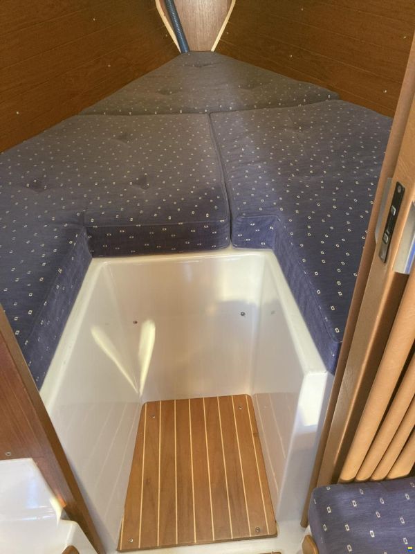 Comfortina 32