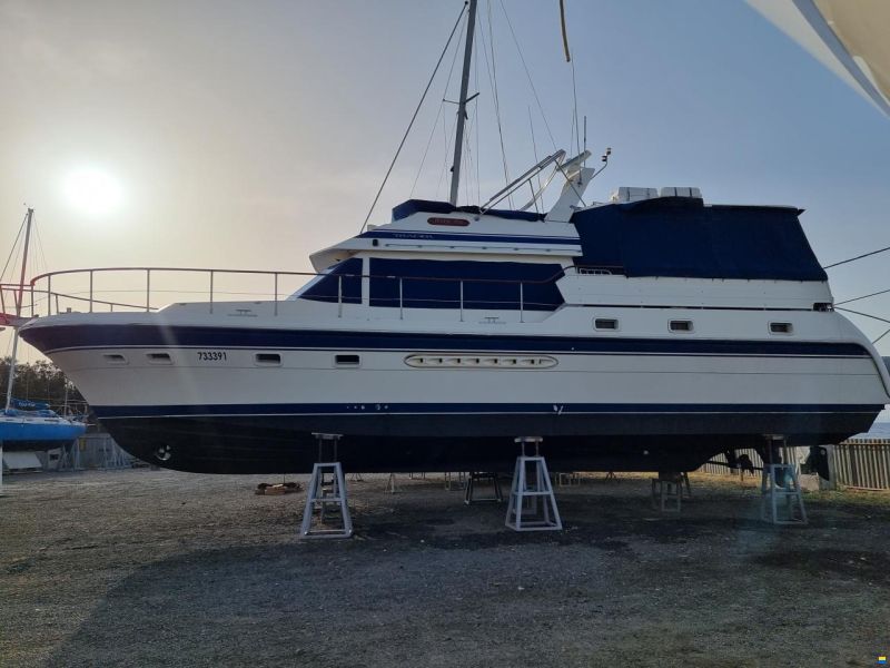 Trader 535 Signature MY