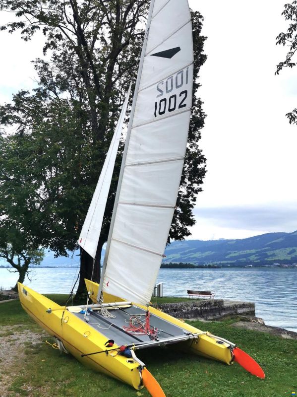 Panther Craft Dart 18