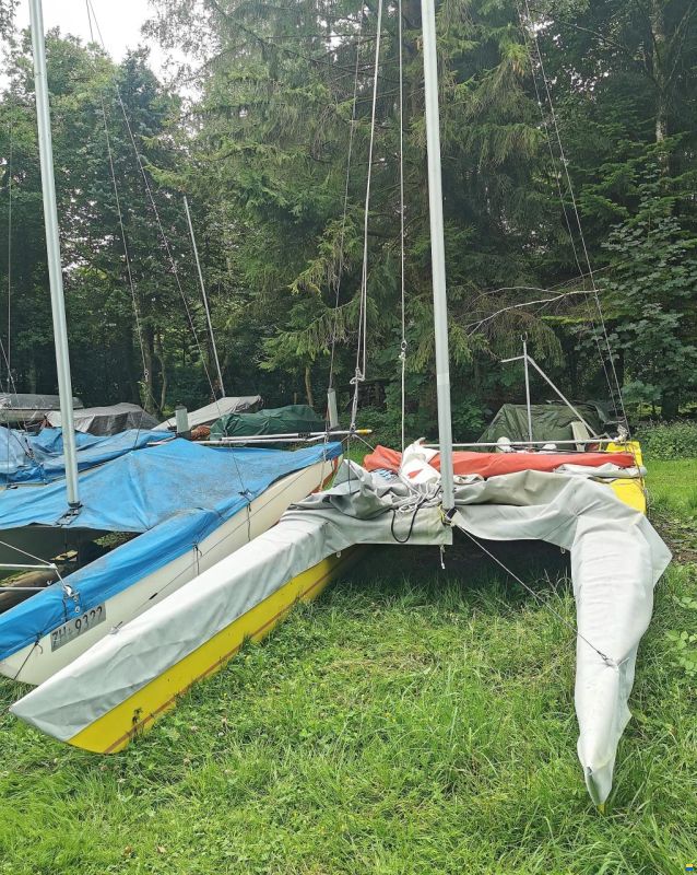Panther Craft Dart 18