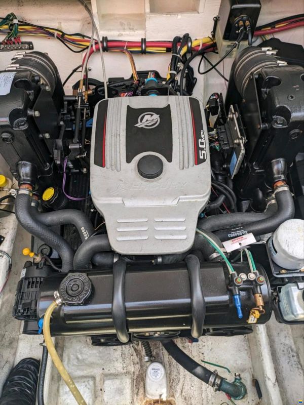 Bayliner 245