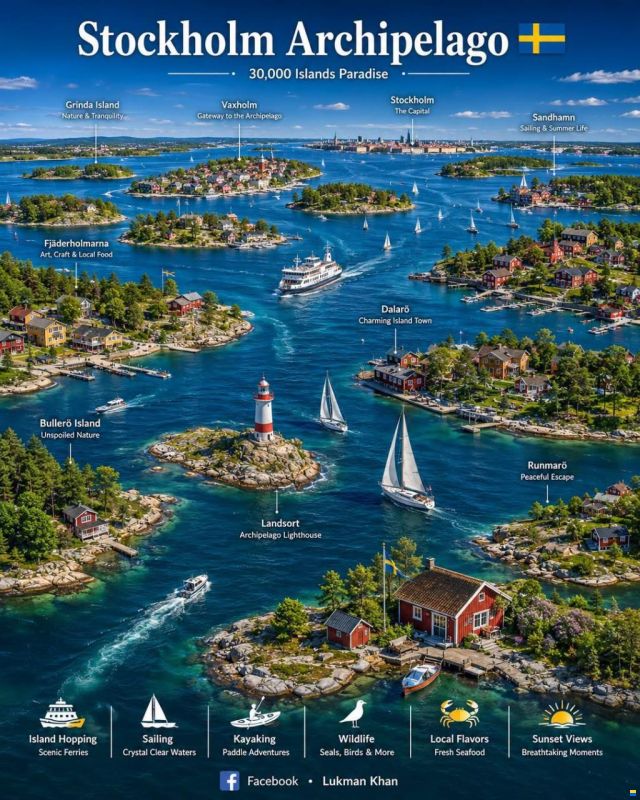 Husbåt Powercatamaran