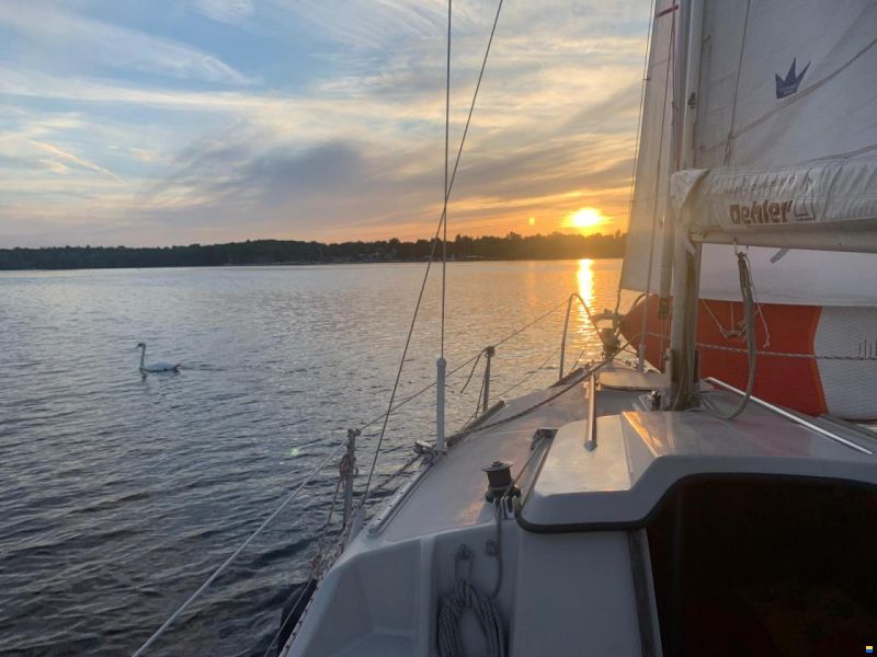 Delanta 76