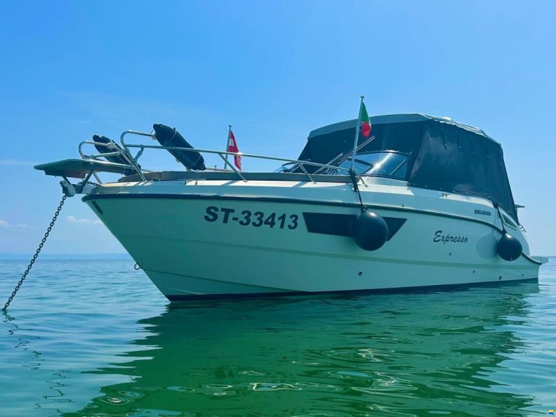 Quicksilver 805 Aktiv