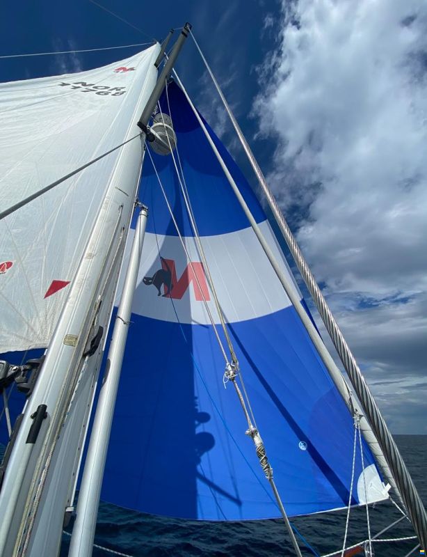 Nauticat 37