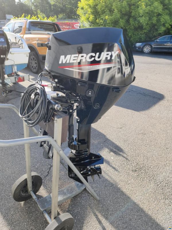 Mercury F 15 ELPT EFI