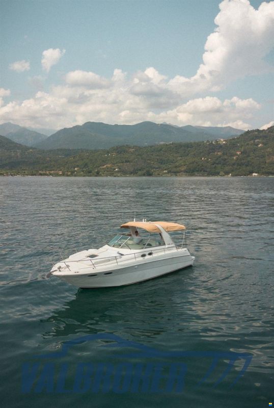 Sea Ray 310 SUNDANCER