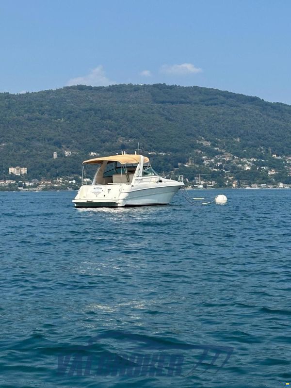 Sea Ray 310 SUNDANCER