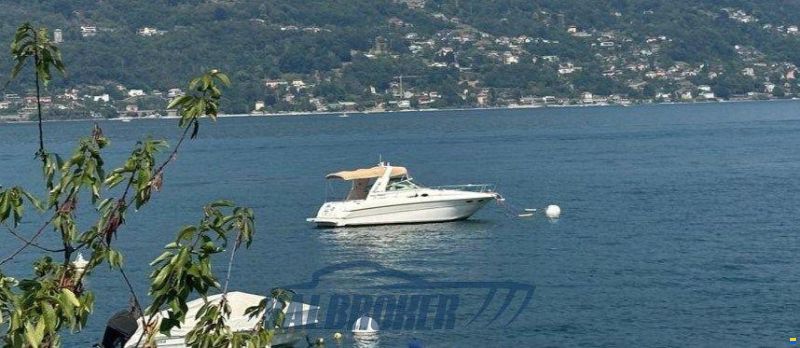 Sea Ray 310 SUNDANCER