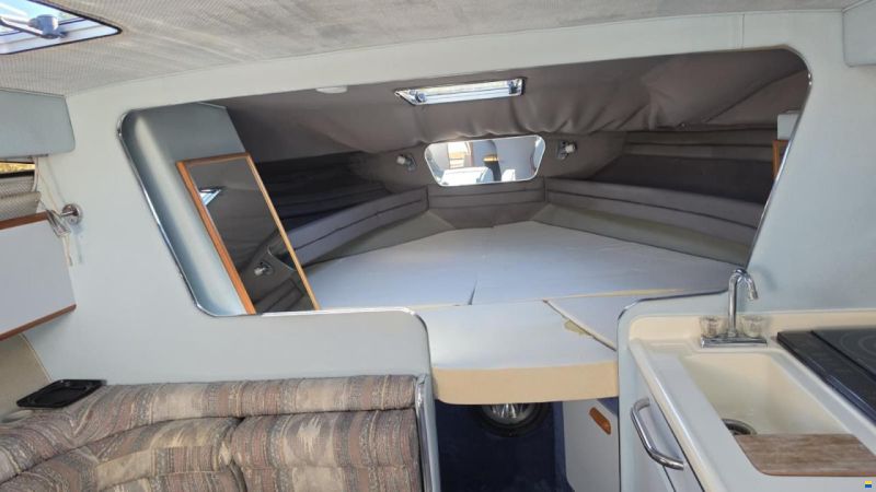 SEARAY SeaRay 310