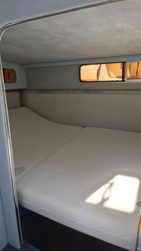 SEARAY SeaRay 310
